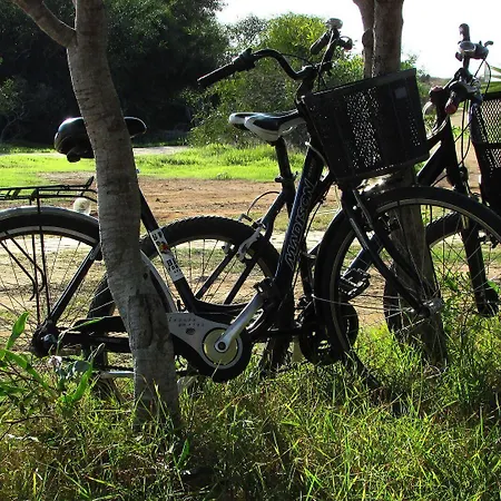 Hotel Fletcher Hotel-restaurant Zevenbergen-moerdijk