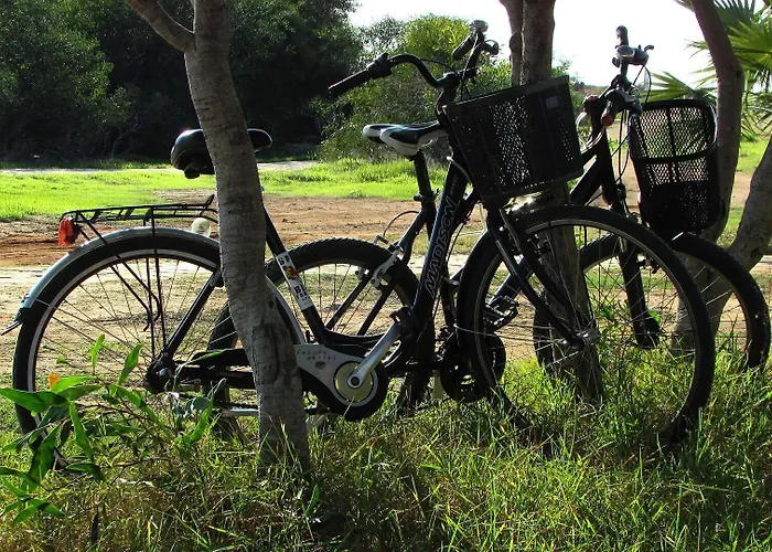 Hotel Fletcher Hotel-restaurant Zevenbergen-moerdijk